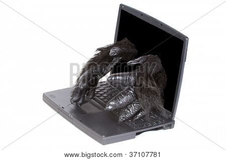 humoristisk billede af Gorilla inden (operativsystem) selv reparerer en computer