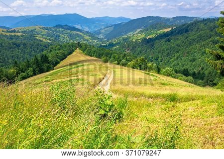 Mountain Landscape In Summer. Blue Sky With Fluffy Clouds. Road Through Green Meadow. Hills Rolling 