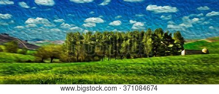 Bucolic Rural Landscape With Grove On Green Fields In A Sunny Day At The Way Of St. James. A Famous 