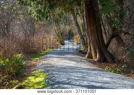 Sunny Spring Morning A Walking Footpath In Woodland. This Trail  Has 10 Kilometers Of Length  It Lai