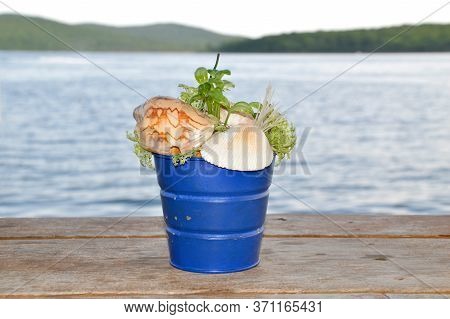 Blue Bucket With Shells And Seaweed Standing On A Wooden Table Against The Japanese Sea On A Summer 