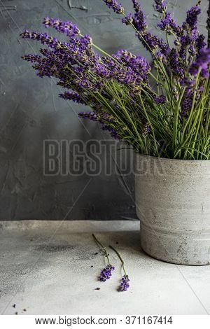 Minimalistic Interior Decor With Lavandula Flowers