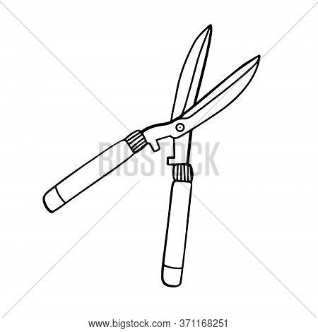 Garden Scissors. Garden Tools For Working With Flowers And Shrubs. Hand-drawn Vector Illustration In