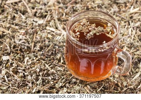 Phyllanthus Niruri - Stone Chanca. To Eliminate Kidney Stones And Fight Hypertension