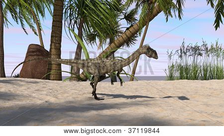 Ausführen von coelophysis