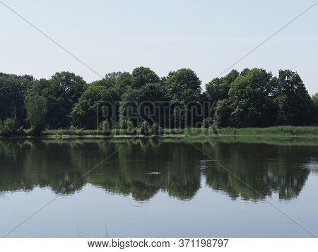 Trees Reflected In Waters Of Artificial Breeding Pond In European Goczalkowice Town At Silesian Dist