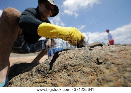 Salvador, Bahia/brazil - October 13, 2019: Volunteers Clean Up Oil At Jardim De Alah Beach, The Site