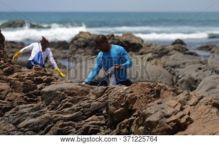 Salvador, Bahia/brazil - October 13, 2019: Volunteers Clean Up Oil At Jardim De Alah Beach, The Site
