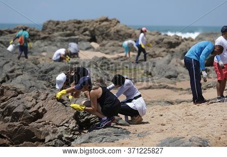 Salvador, Bahia/brazil - October 13, 2019: Volunteers Clean Up Oil At Jardim De Alah Beach, The Site