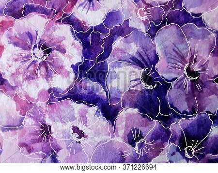 Hydrange Flower Watercolor Sketch Close-up Background For Designs