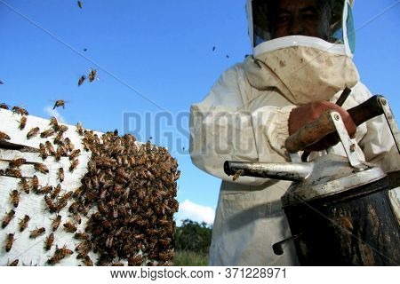 Eunapolis, Bahia / Brazil - May 11, 2009: Beekeeper Is Seen Next To The Bee Hive In The City Of Euna