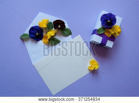 Flower Composition. Gift Box, Envelope, Paper Blank And Pansies (viola Wittrockiana) In Yellow And B