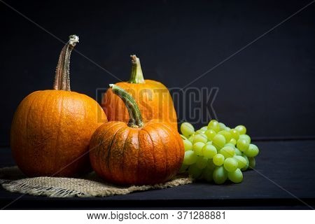 Punkins On A Rustic Background For A Thanksgiving Abstract