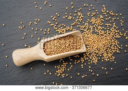 Mustard Seeds Granum Sinapis And A Wooden Spoon