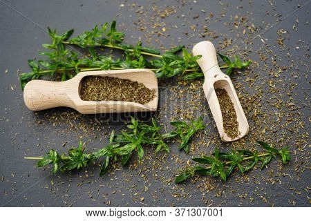 Fresh Savory Satureja With A Wooden Spoon