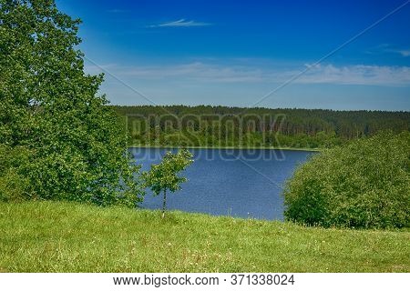 Lake Meadow Surrounded By Forest Near The Town Of Gorodok, Belarus