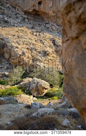 Wadi Kelt Or Nahal Prat, In The Judean Desert, Israel. View Of The Gorge.