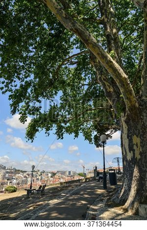 Lisbon, Portugal - July 4, 2019: The Torel Garden (jardim Do Torel) At Sunny Day In The City Of Lisb