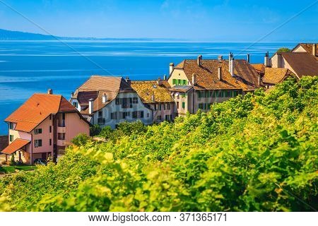 Traditional Swiss Houses With Vineyards On The Shore Of Lake Geneva, Rivaz Village, Canton Of Vaud, 