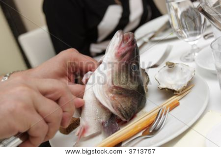 Kala pää