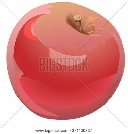An Red Apple. Garden Fruit. Ripe. Vector Illustration. Isolated Object.