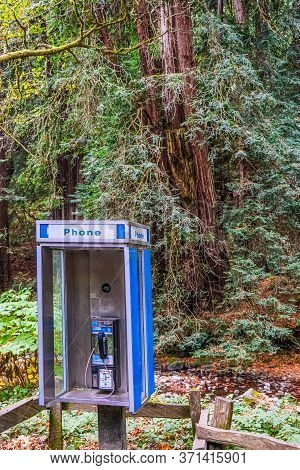San Francisco, California - November 12, 2019: Muir Woods National Monument Is A United States Natio