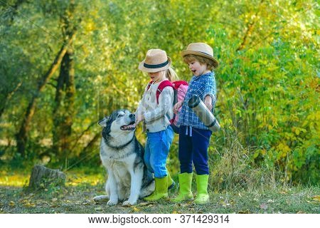 Children Brother And Sister And Dog Together In Park. Children Are Hiking Together With Pet Dog. Two