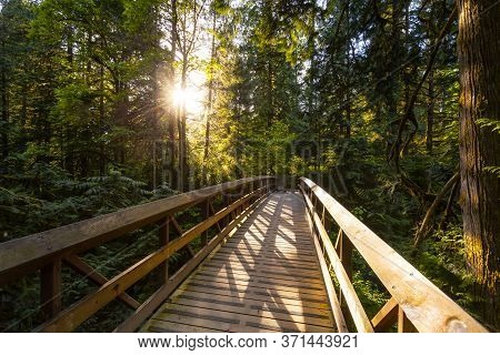 Beautiful View Of A Wooden Bridge In A Green Rain Forest During A Sunny Sunset. Taken In Kanaka Cree