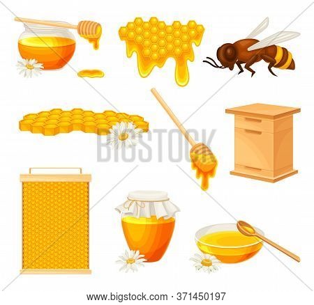 Honey Omb With Hexagonal Wax Cells And Glass Jar Poured With Honey Vector Set