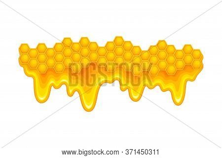 Honey Omb With Hexagonal Wax Cells And Flowing Down Sticky Liquid Vector Illustration