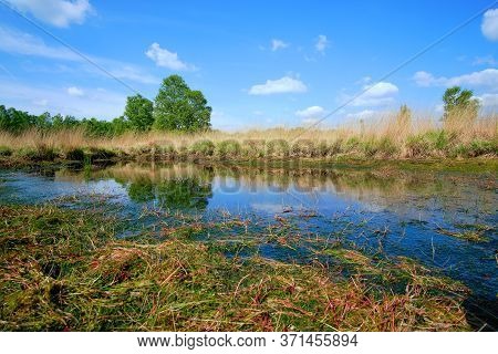 Fen At Moor And Heath Landscape With A Fence, Grass And Refelction Of A Tree In Water In The Drente,