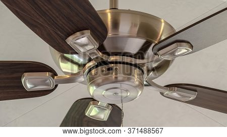 Panorama Standard Ceiling Fan With Built In Lights Five Blade Design And Metal Downrod