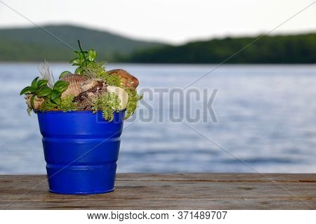 Blue Bucket With Shells And Seaweed Standing On A Wooden Table Against The Japanese Sea On A Summer 