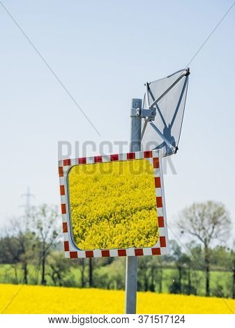 a rape field in a traffic mirror