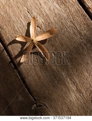 Flower On The Wood Texture,the Leaves Fall On A Wooden Table.