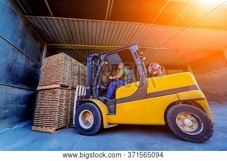 Forklift Loader Load Lumber Into A Dry Kiln. Wood Drying In Containers.