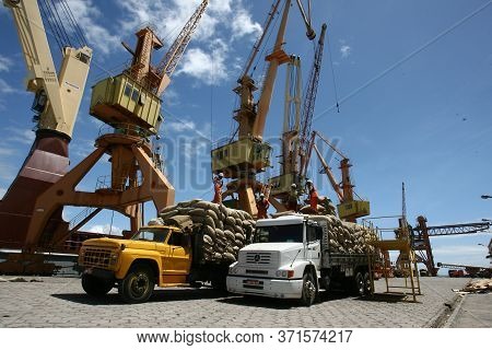 Ilheus, Bahia / Brazil - March 26, 2012: Workers Are Seen Disembarking Cocoa Beans At The Port Of Il