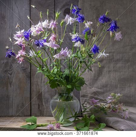 Rustic Still Life In A Glass Vase Beautiful Flowers Pink White Blue Aquilegia Wooden Background. Aqu