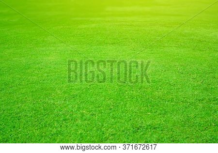 Fresh Green Lawn Of Smooth Grass Under Sunlight