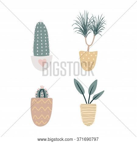 Collection Of Decorative Houseplants Isolated On White Background. Set Of Beautiful Natural Home Dec