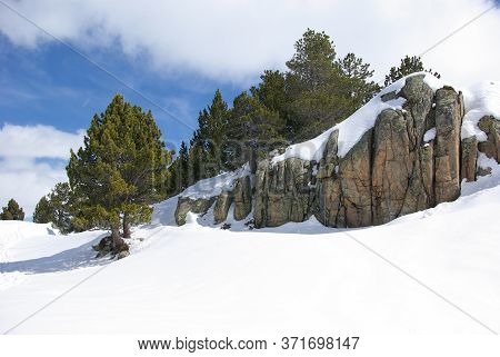 Postcard Of Tree And Snow Powder In Andorra Sunny Day