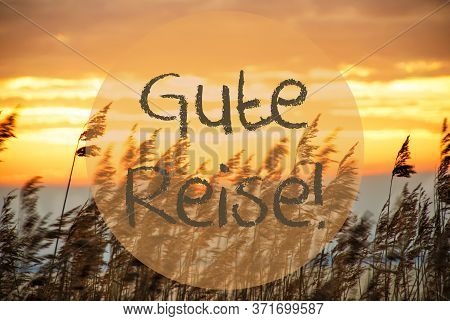 Beach Grass At Sunrise Or Sunset, Text Gute Reise Means Good Trip