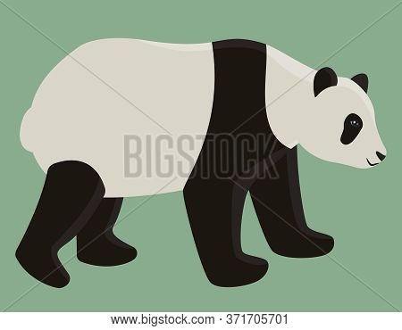 Walking Adult Panda. Cute Animal In Cartoon Style.