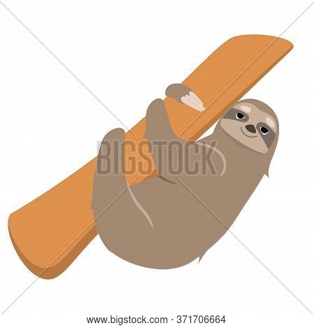 Sloth Climbing Tree. Lazy Animal In Cartoon Style Isolated On White Background.
