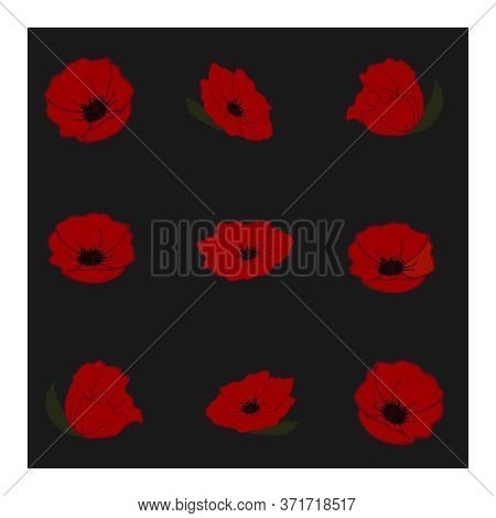 Seamless Pattern With Large Red Poppy Flowers. Floral Pattern. Pattern With Flowers. Large, Large Re