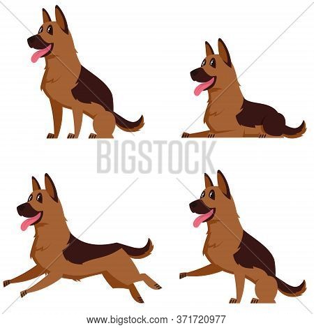 German Shepherd In Different Poses. Beautiful Dog In Cartoon Style.