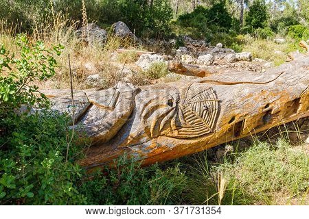 Jerusalem, Israel, June 13, 2020 : A Fallen Tree With A Web Carved On The Trunk In Totem Park In The