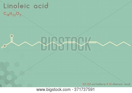 Large And Detailed Infographic Of The Molecule Of Linoleic Acid