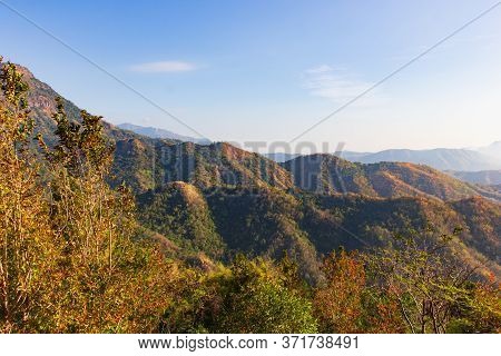 Plants And Wild Flowers On The Mountain, Views Of The Mountains In Phetchabun Province, Thailand.