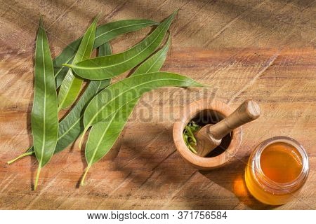 Fresh Eucalyptus Leaves On Wooden Background - Eucalyptus Globulus